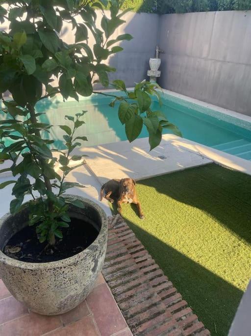 Atuaire Home Sevilla Mairena del Aljarafe Eksteriør bilde