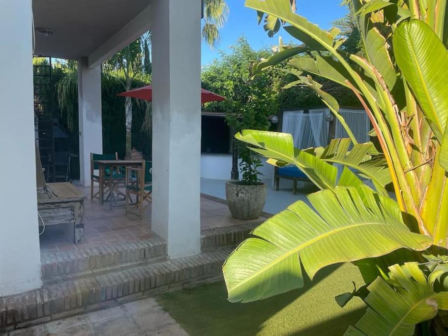 Atuaire Home Sevilla Mairena del Aljarafe Eksteriør bilde